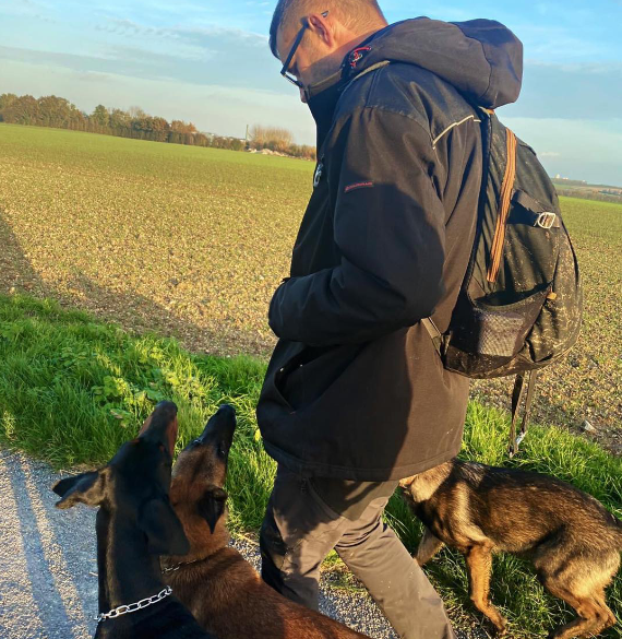 dressage, comportement